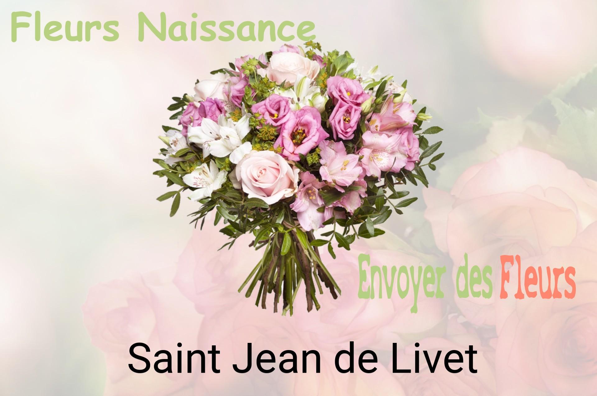 Bouquet de fleurs de naissance livré à Saint-Jean-de-Livet
